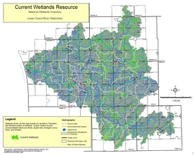 Current Lower Grand River Watershed Wetlands